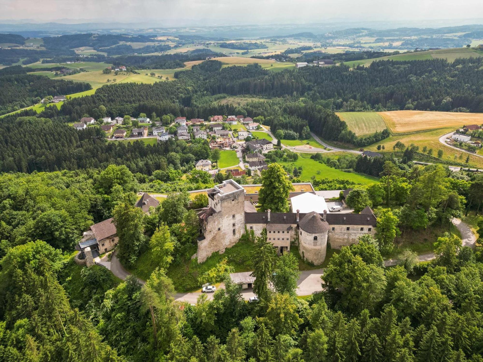 Schatz.Kammer Burg Kreuzen Kreuzen  Zewnętrze zdjęcie