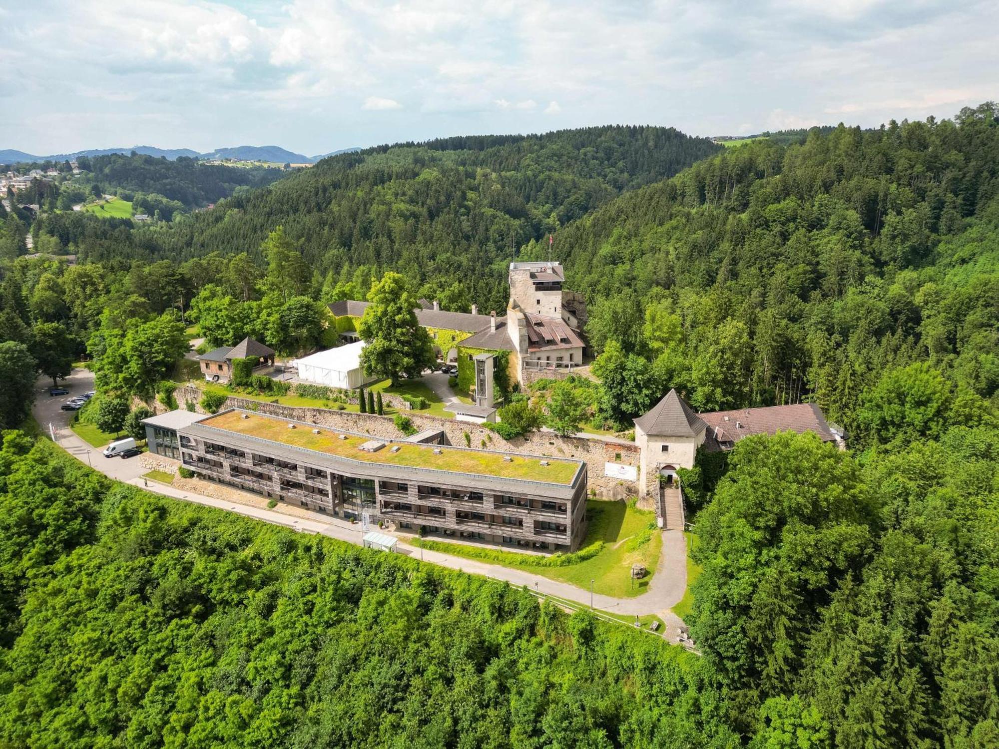 Schatz.Kammer Burg Kreuzen Kreuzen  Zewnętrze zdjęcie